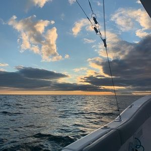 Meet your Posher, Nina